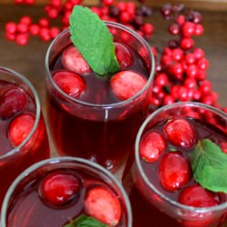 Cranberry Mint Margaritas