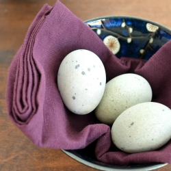 Congee with 1000-Year-Old Eggs