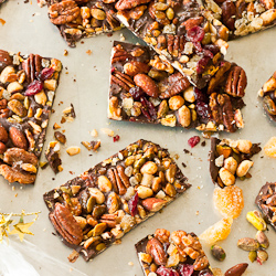 Chocolate Fruit and Nut Bars