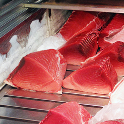 Tokyo’s Famous Tsukiji Fish Market