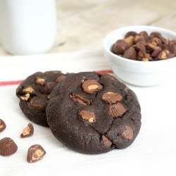 Chocolate Peanut Butter Cup Cookies