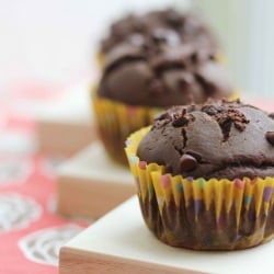 Chocolate Chocolate Chips Muffins