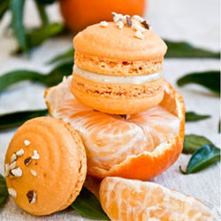 Mandarin & Tonka Bean Macaron