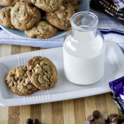 Chocolate Macadamia Cookies