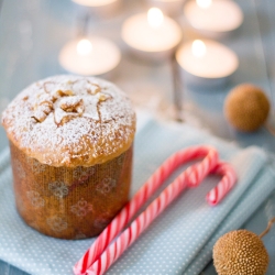 Christmas Panettoncini