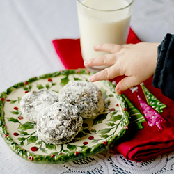 Double Chocolate Snowball Cookies