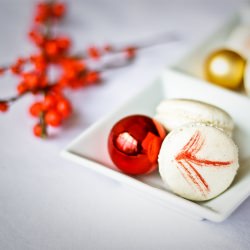 Christmas Vanilla Macarons