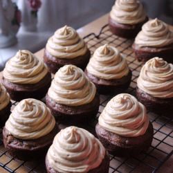 Pumpkin Chocolate Chip Cupcakes