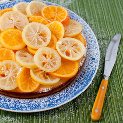 Candied Winter Citrus Cake