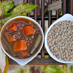 Sweet Potato & Lentil CrockPot Soup