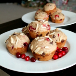 Cranberry Chocolate Chip Muffins