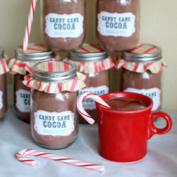 Homemade Candy Cane Hot Cocoa Mix