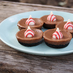 Mini Chocolate Cheesecakes