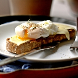 Poached Egg with Gouda