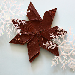 Chocolate-Covered Shortbread Cookie