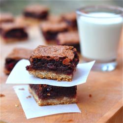 Cranberry Chocolate Squares