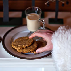 Peanut Butter Cookies