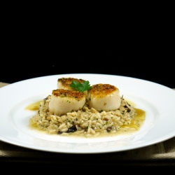 Seared Scallops with Risotto