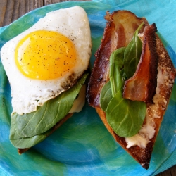 Fried Egg Sandwich