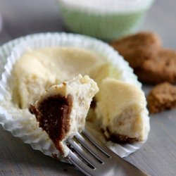 Mini Gingersnap Cookie Cheesecakes