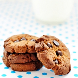 Chocolate Xmas Cookies