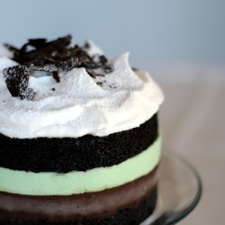 Vegan Chocolate Mint Cake