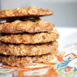 Chocolate Coffee Wheat Cookie