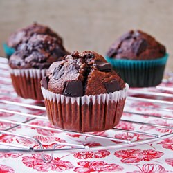 Chocolate Chocolate Chip Muffins