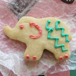 Shortbread Elephants