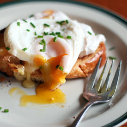 Poached Egg on Brioche