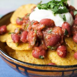 Bean Salsa Nacho