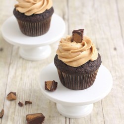 Peanut Butter DDL Cupcakes