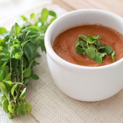 Five Minute Tomato Basil Soup