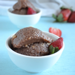 Vegan Chocolate Ice Cream