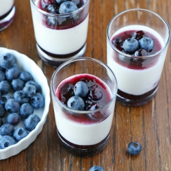 Yogurt Panna Cotta with Blueberries