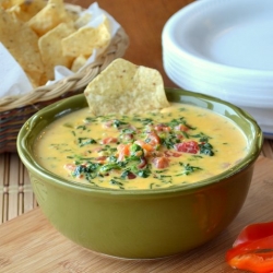 Nacho Dip for Grown Ups