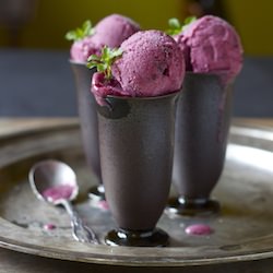 Winter Berry & Citrus Sorbet