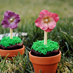 Flower Pot Cupcakes