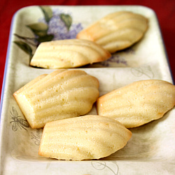 Lemon Madeleines