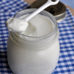 Homemade Yogurt