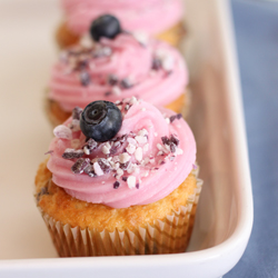 Blueberry Cupcakes