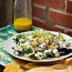 Endive, Fennel and Barley Salad