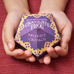 Honeydukes Chocolate Frogs