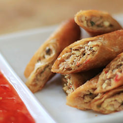 Tuna and Tofu Spring Rolls