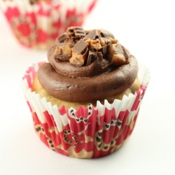 Peanut Butter Chocolate Cupcakes