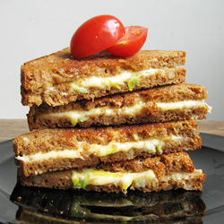 Grilled Sandwich