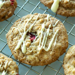 Chocolate Cranberry Cookies