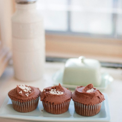 Hummingbird Chocolate Cupcakes