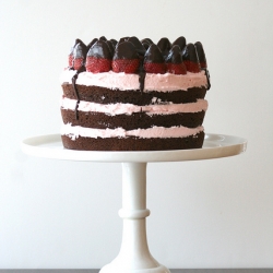 Chocolate Dipped Chocolate Cake