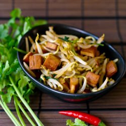 Spiced Tofu with Bean Sprouts